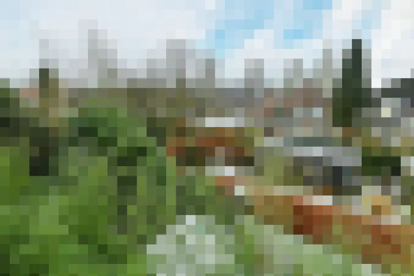 St.Bernulphusstraat 7 G Oosterbeek thumbnail 22