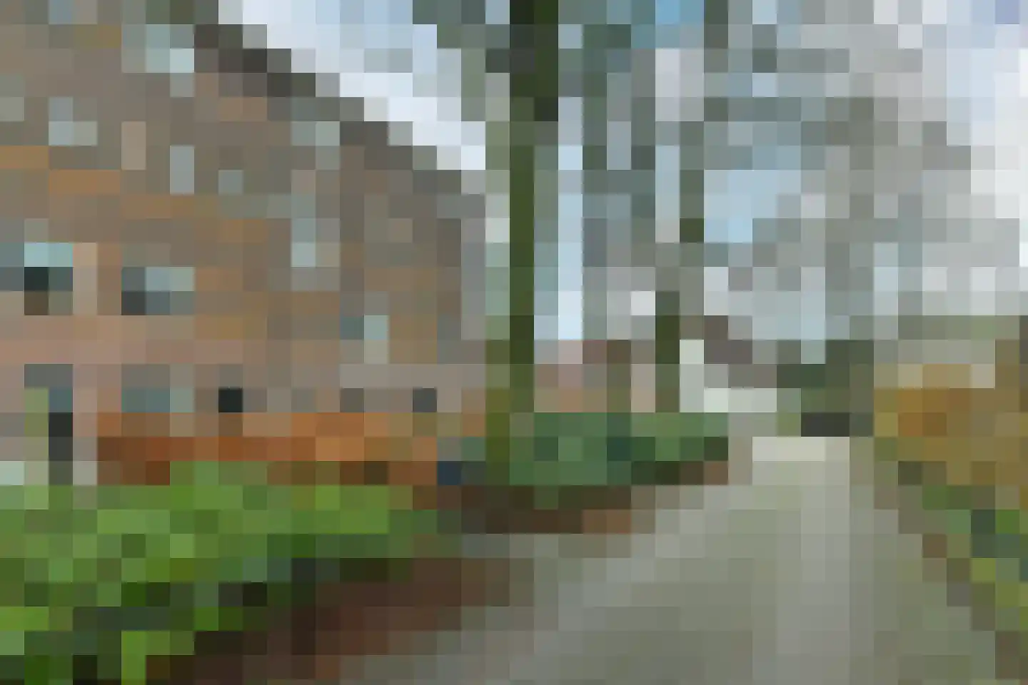 St.Bernulphusstraat 7 G Oosterbeek thumbnail 36