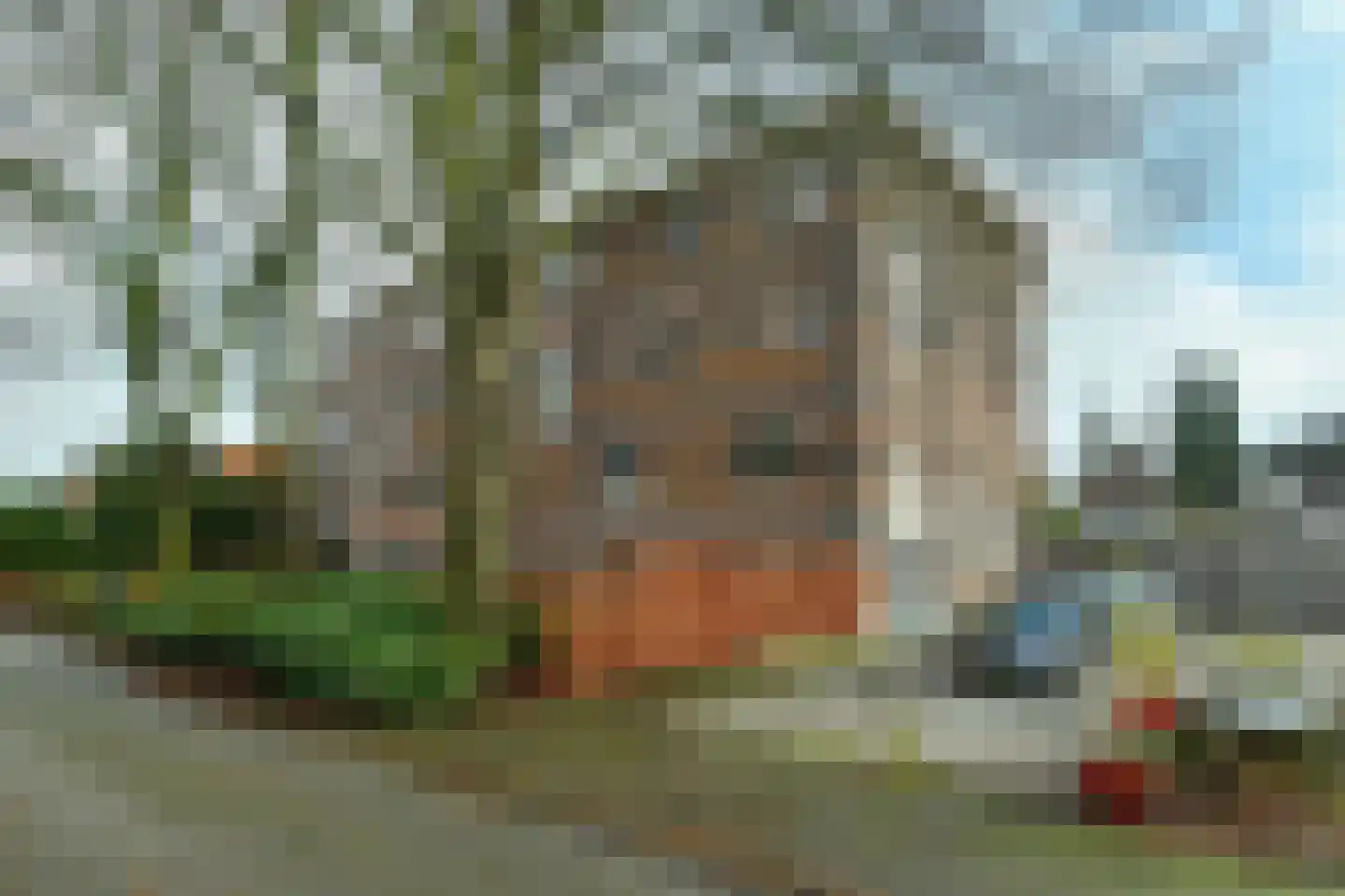 St.Bernulphusstraat 7 G Oosterbeek thumbnail 39