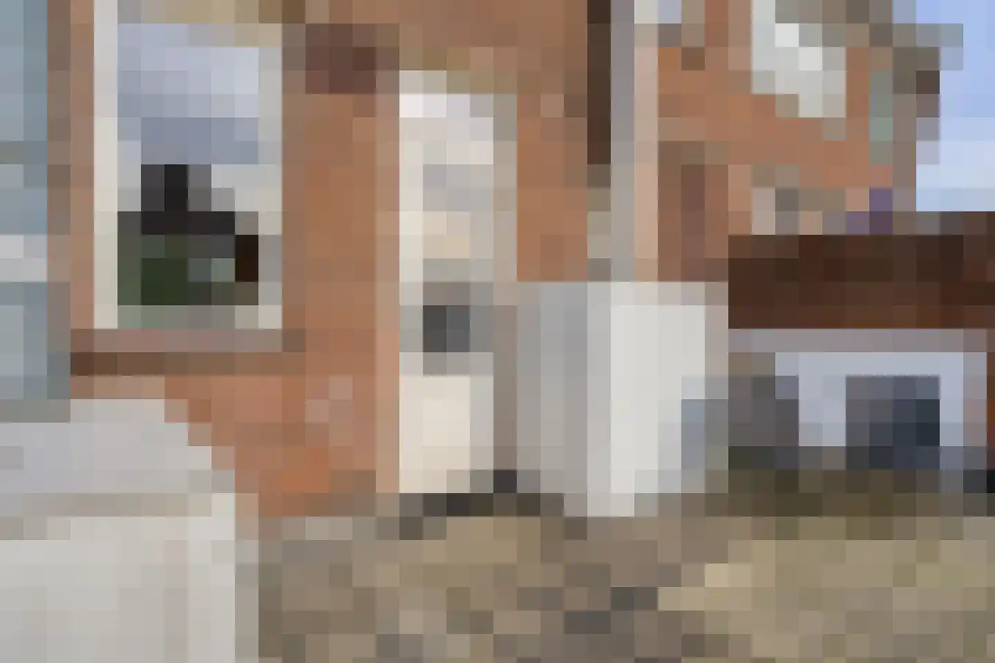 St Bonifaciuslaan 306 Eindhoven thumbnail 18