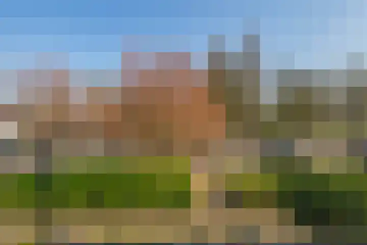 St Bonifaciuslaan 50 Eindhoven thumbnail 23
