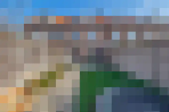 St Bonifaciuslaan 50 Eindhoven thumbnail 36