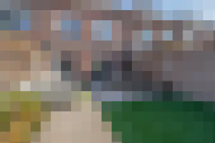 St Bonifaciuslaan 50 Eindhoven thumbnail 38