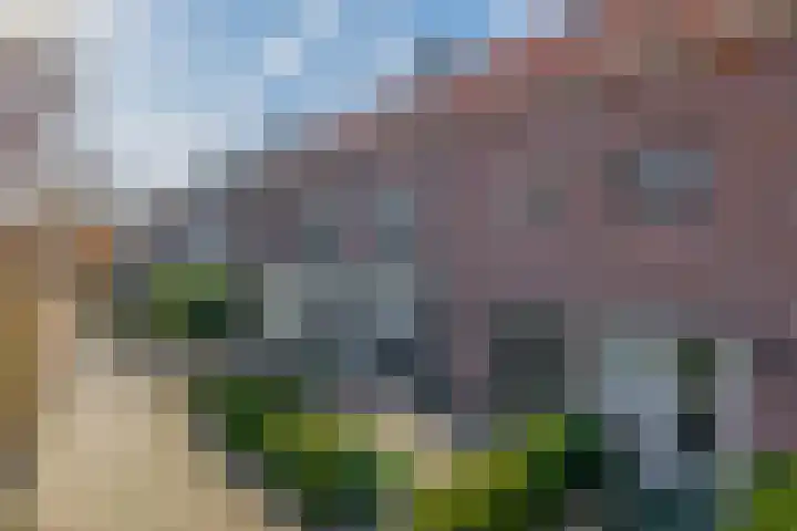 St Bonifaciuslaan 50 Eindhoven thumbnail 4