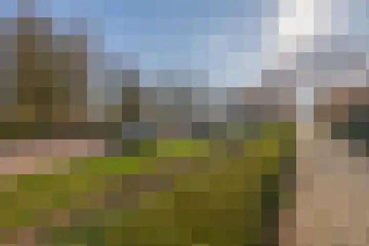 St Bonifaciuslaan 50 Eindhoven thumbnail 6