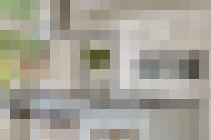 St Bonifaciuslaan 62 Eindhoven thumbnail 19