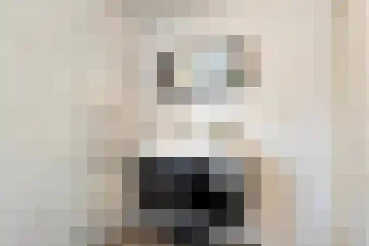 St Bonifaciuslaan 62 Eindhoven thumbnail 22