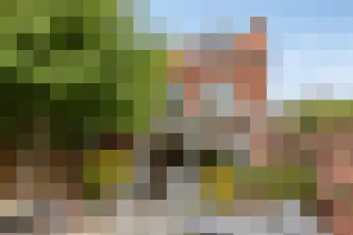 St Bonifaciuslaan 62 Eindhoven thumbnail 30