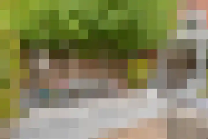 St Bonifaciuslaan 62 Eindhoven thumbnail 31