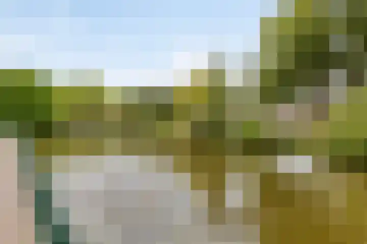 St Bonifaciuslaan 62 Eindhoven thumbnail 36