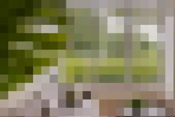 St Bonifaciuslaan 70 Eindhoven thumbnail 16