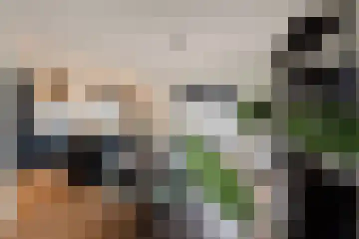 St Bonifaciuslaan 70 Eindhoven thumbnail 17