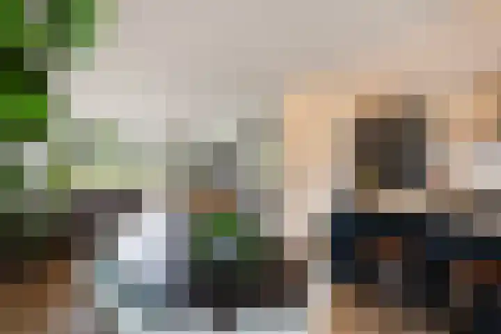 St Bonifaciuslaan 70 Eindhoven thumbnail 18