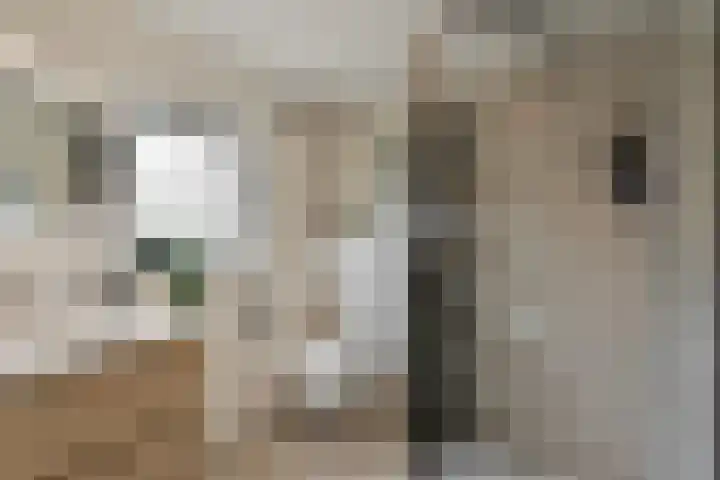 St Bonifaciuslaan 70 Eindhoven thumbnail 30