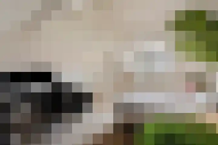 St Bonifaciuslaan 70 Eindhoven thumbnail 39