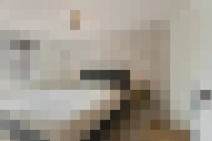 St Bonifaciuslaan 70 Eindhoven thumbnail 4