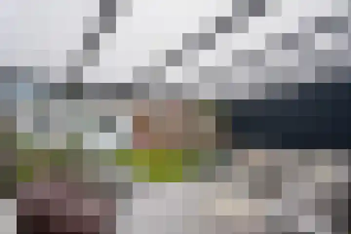 St Bonifaciuslaan 70 Eindhoven thumbnail 40