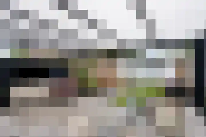 St Bonifaciuslaan 70 Eindhoven thumbnail 41