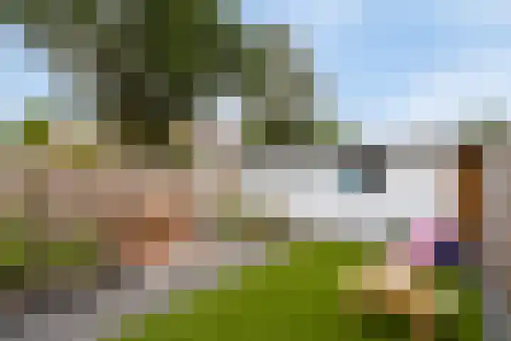 St Bonifaciuslaan 70 Eindhoven thumbnail 42