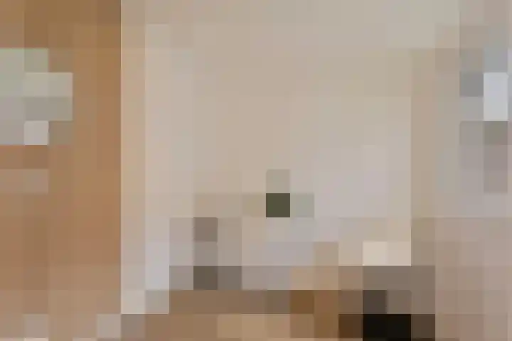 St Bonifaciuslaan 70 Eindhoven thumbnail 45