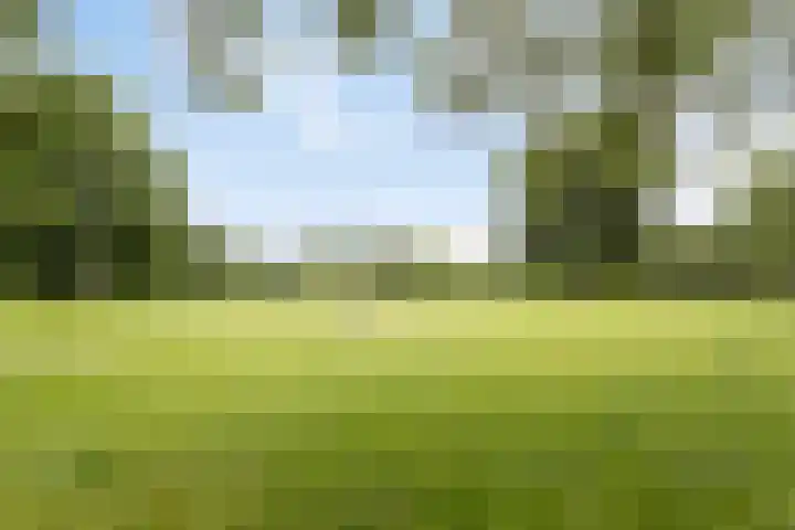 St Bonifaciuslaan 70 Eindhoven thumbnail 52