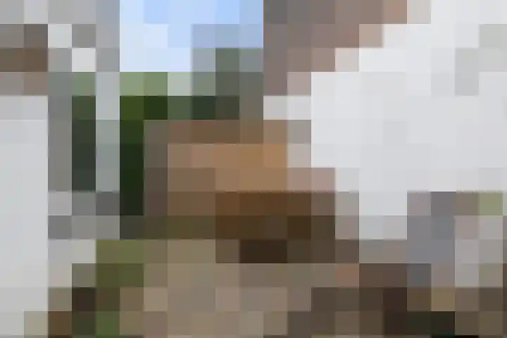 St.-Bonifaciusstraat 53 Utrecht thumbnail 22