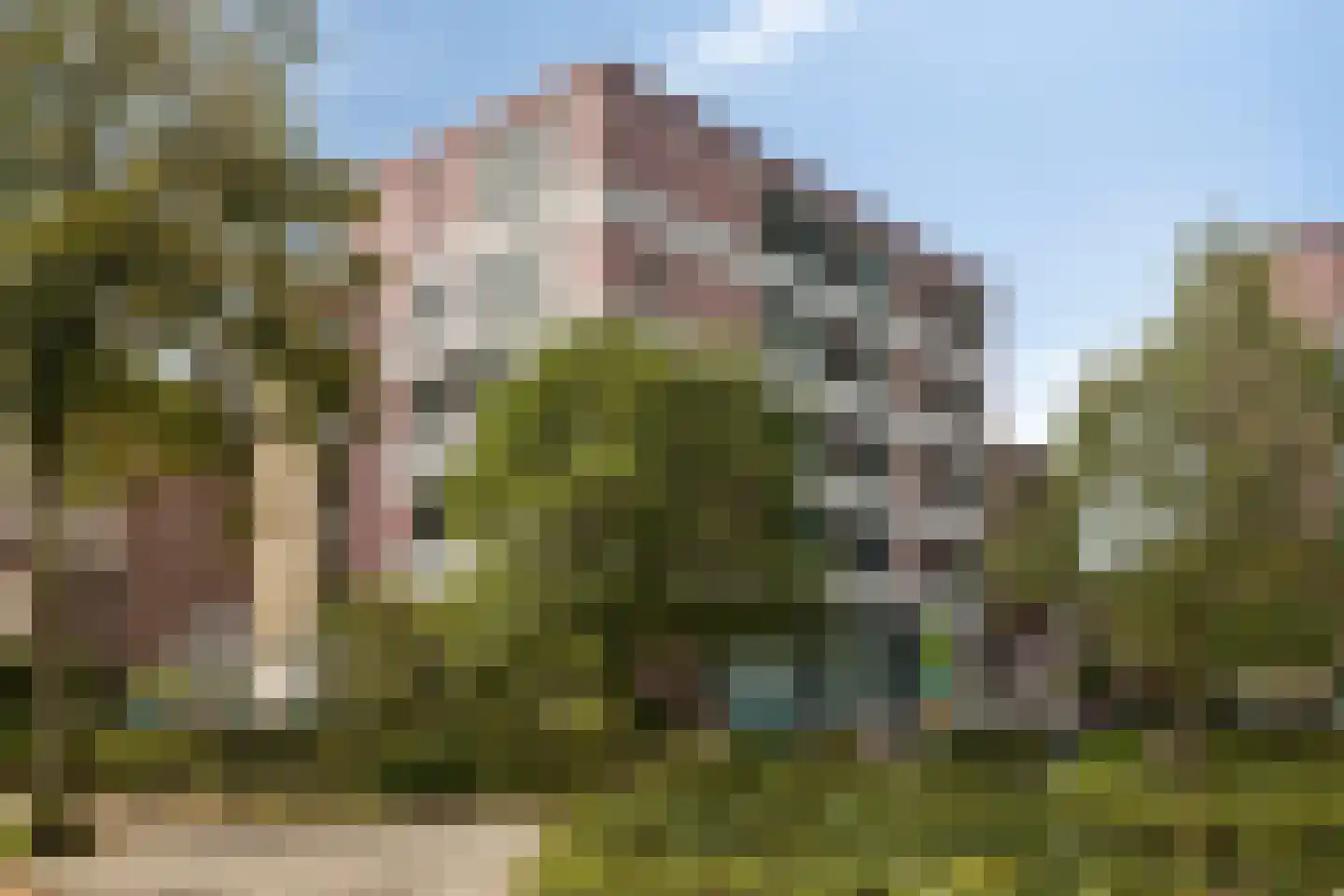 St. Canisiussingel 8 Nijmegen thumbnail 5