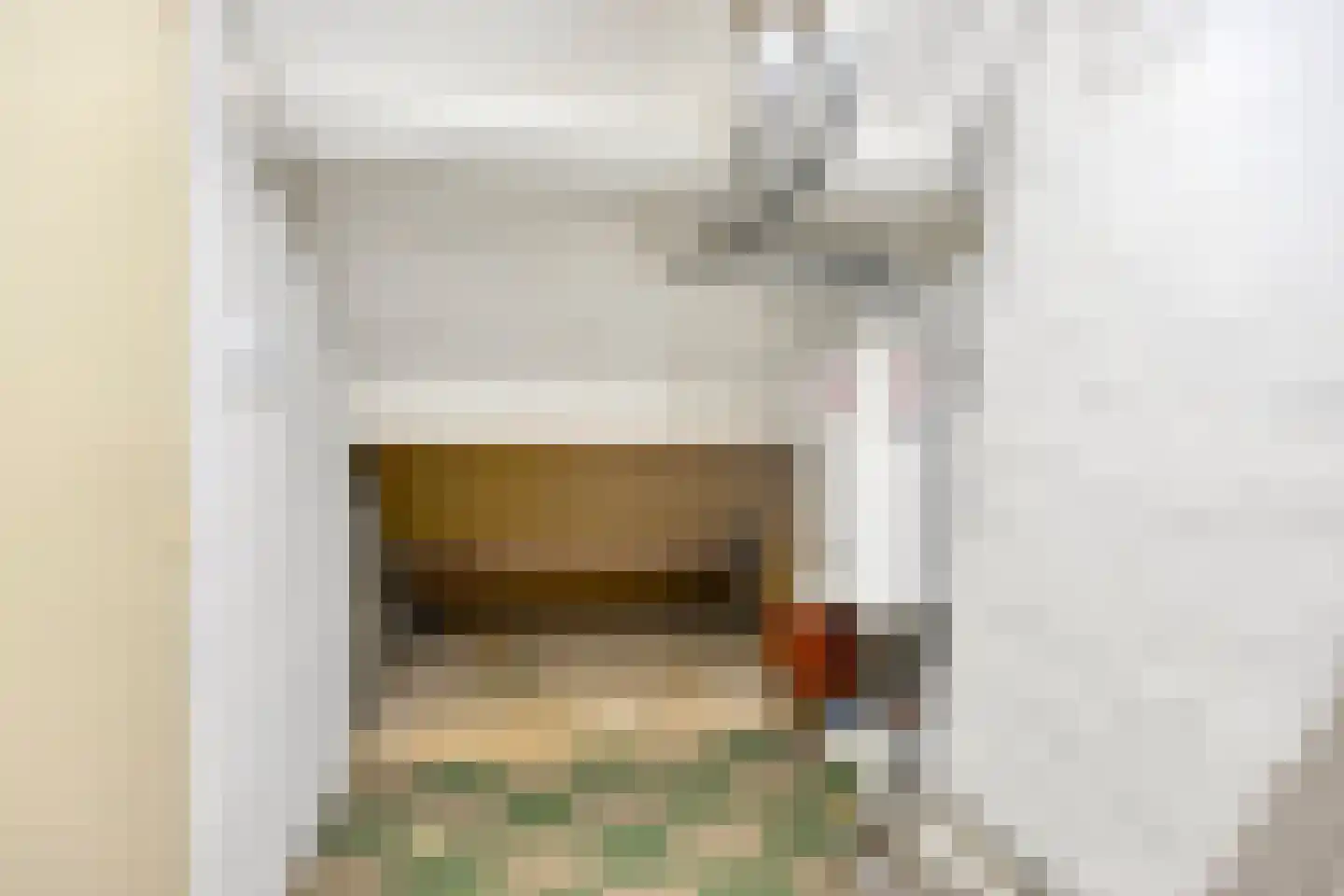 St.Carolusstraat 15 Herkenbosch thumbnail 38