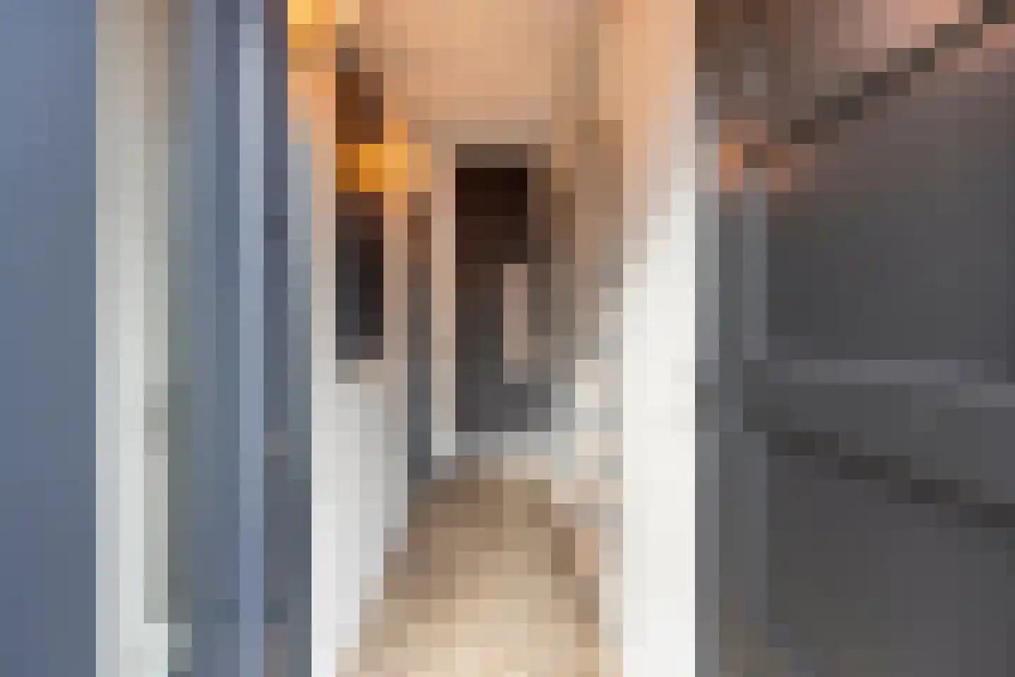 St.Carolusstraat 15 Herkenbosch thumbnail 5