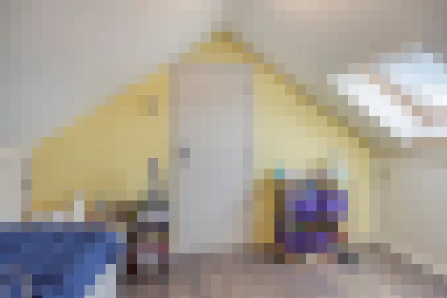 St.Carolusstraat 5 Herkenbosch thumbnail 20