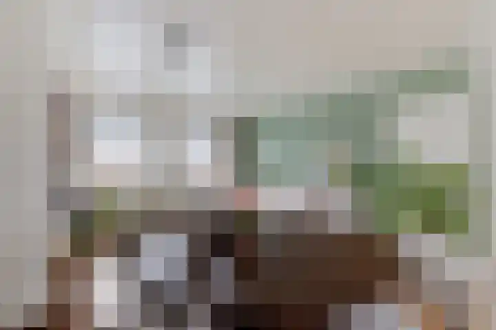 St. Catharinaplaats 18 Arnhem thumbnail 10