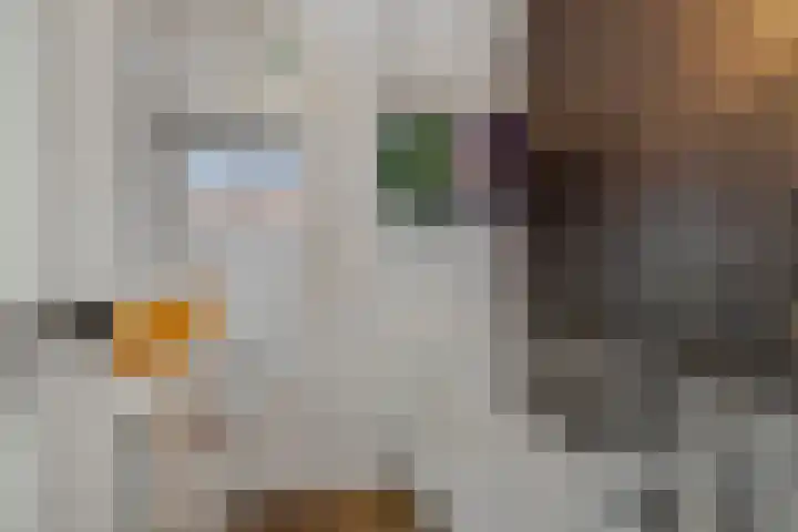 St.-Catharinastraat 5 Vught thumbnail 24