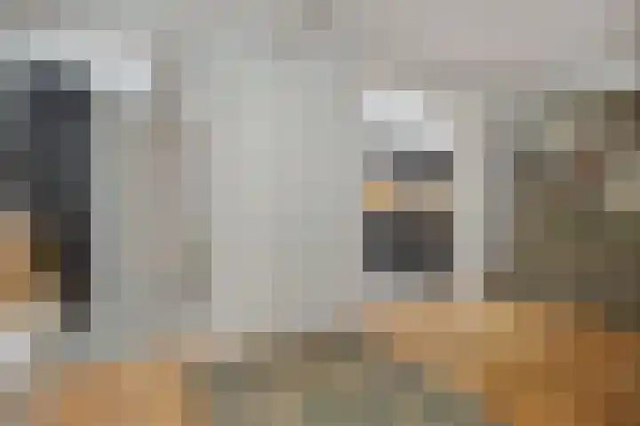 St.-Catharinastraat 5 Vught thumbnail 9