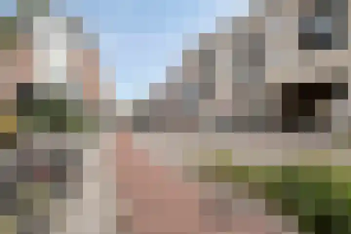 St Catharinastraat 64 B Eindhoven thumbnail 33