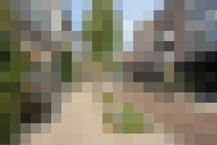 St Catharinastraat 64 B Eindhoven thumbnail 34