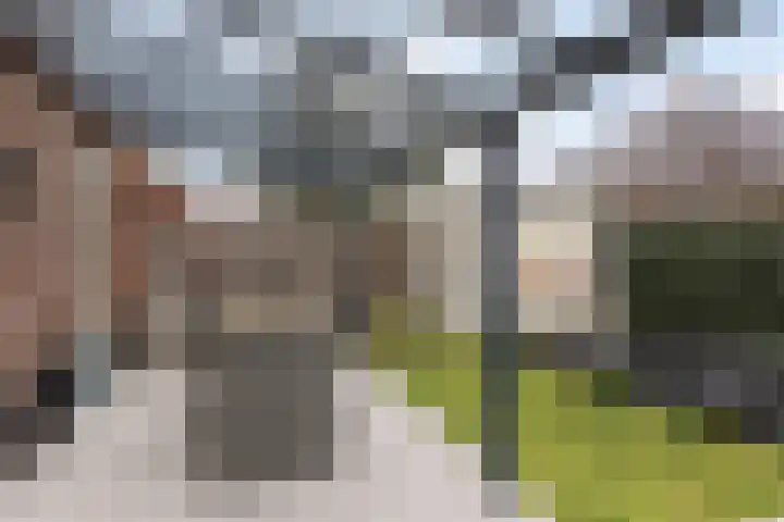 St. Cecilia 23 Haarsteeg thumbnail 32
