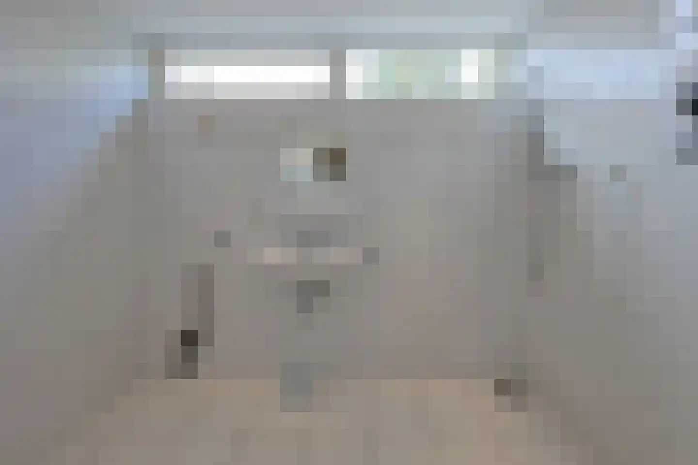 St Claralaan 8 Eindhoven thumbnail 11