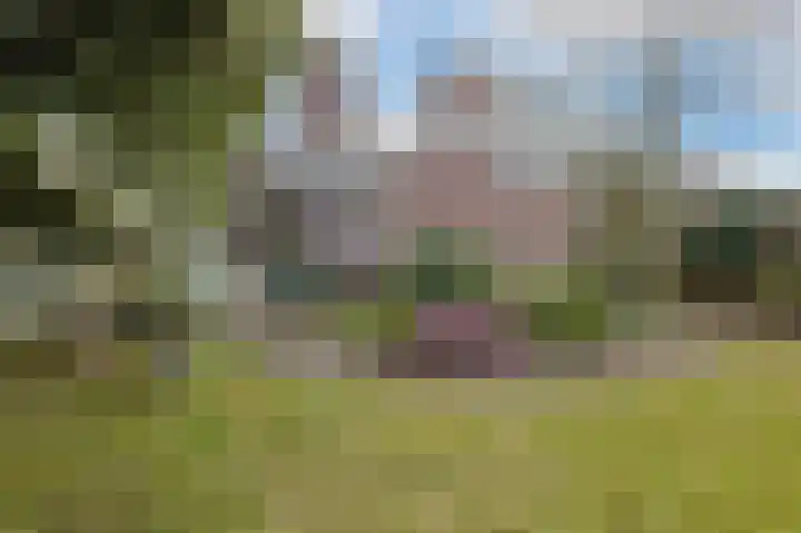 St Claralaan 8 Eindhoven thumbnail 12