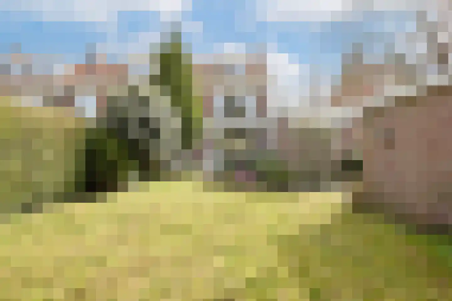 St Claralaan 8 Eindhoven thumbnail 15