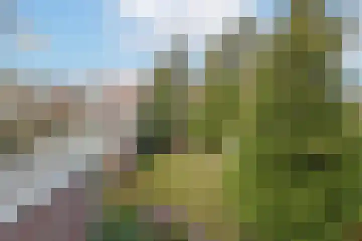 St Claralaan 8 Eindhoven thumbnail 33