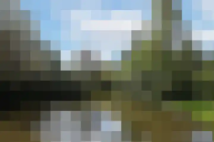 St Claralaan 8 Eindhoven thumbnail 52