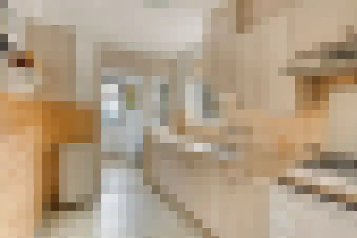 St. Clemensdreef 6 Hulsel thumbnail 6