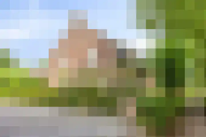 St. Cornelisstraat 13 Hooge Mierde thumbnail 53