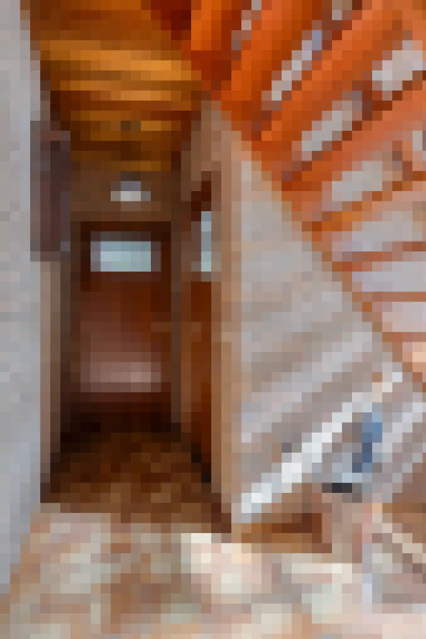 St. Cornelisstraat 17 Hooge Mierde thumbnail 10