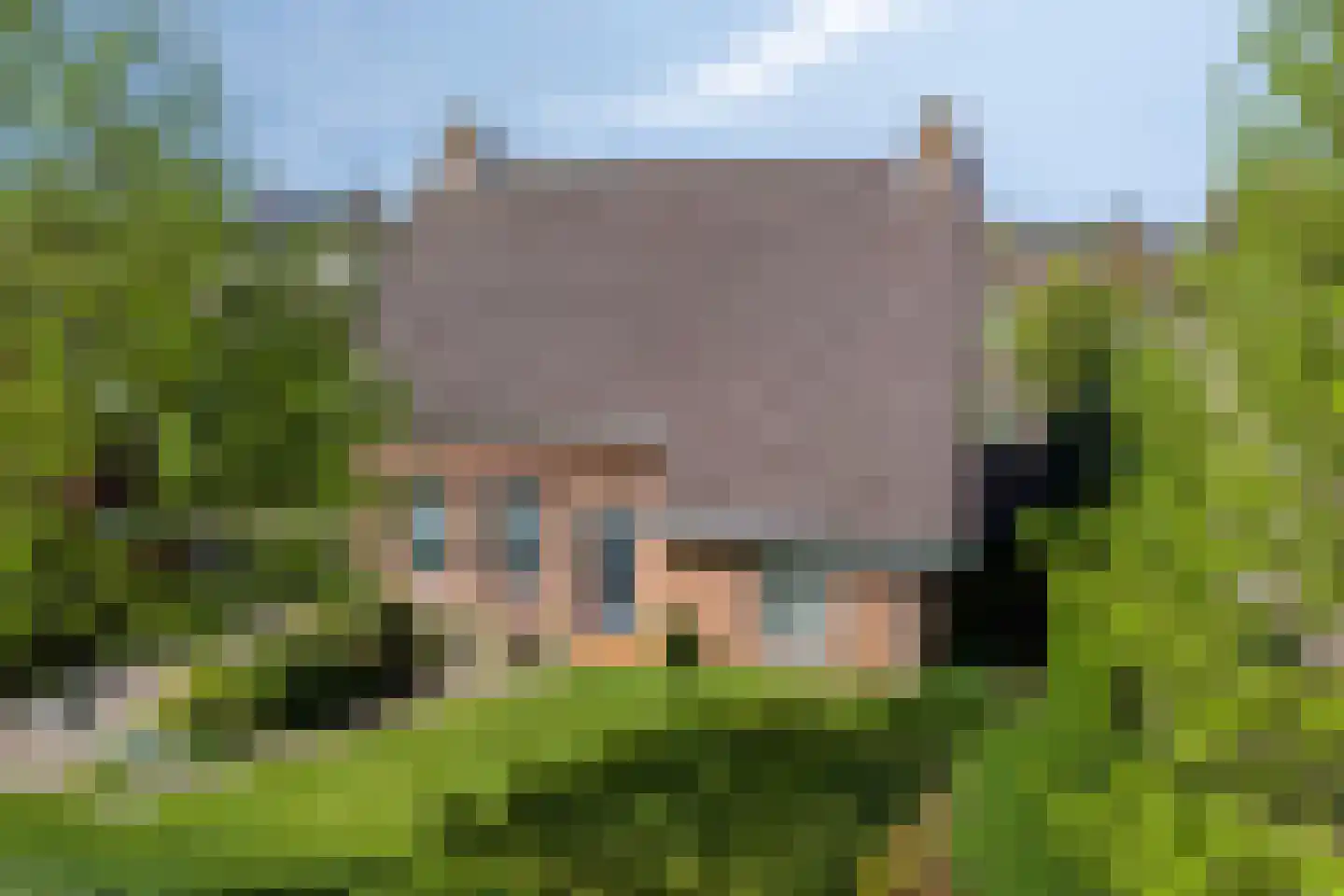 St. Cornelisstraat 17 Hooge Mierde thumbnail 4