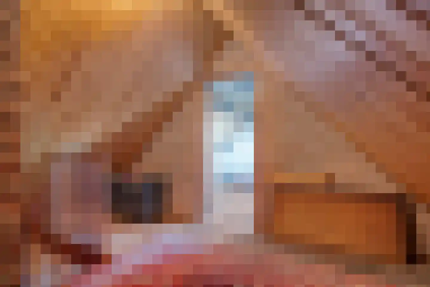 St. Cornelisstraat 17 Hooge Mierde thumbnail 43