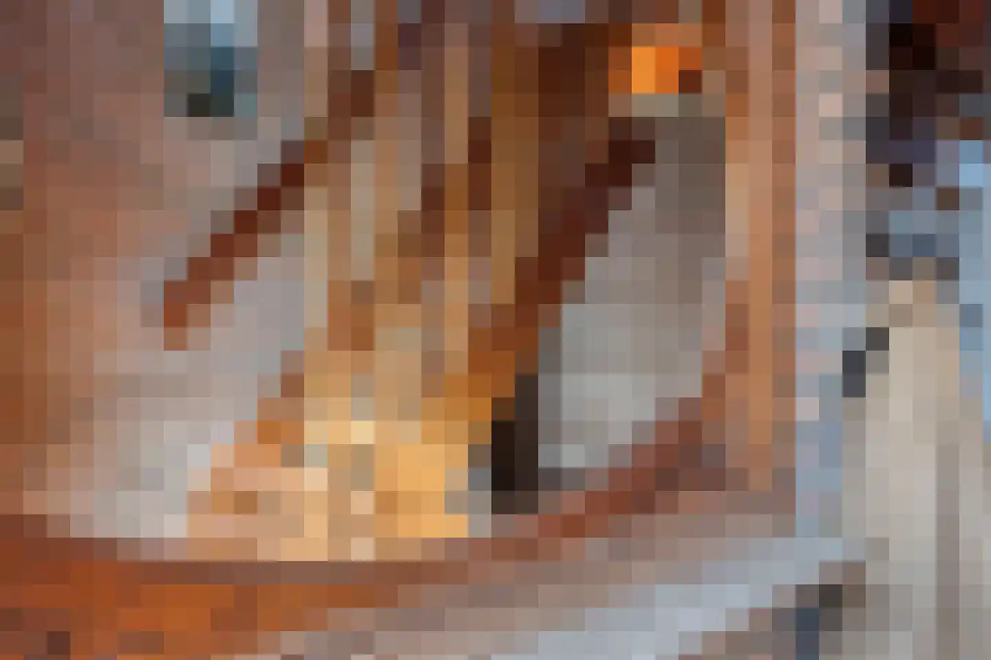 St. Cornelisstraat 17 Hooge Mierde thumbnail 9