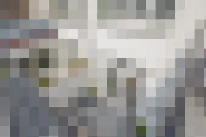St. Crispijnstraat 110 Waalwijk thumbnail 31