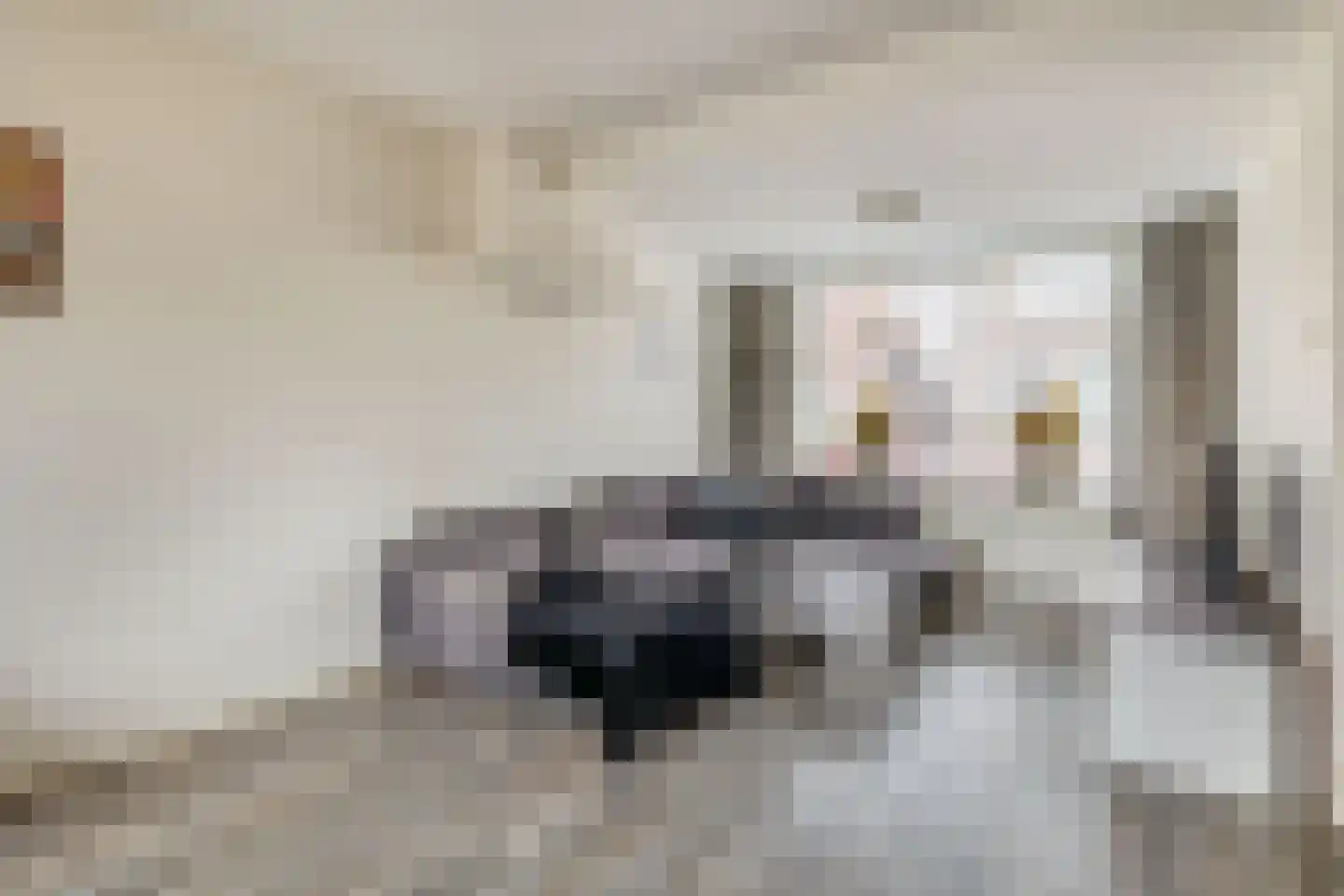 St. Crispijnstraat 33 Waalwijk thumbnail 4