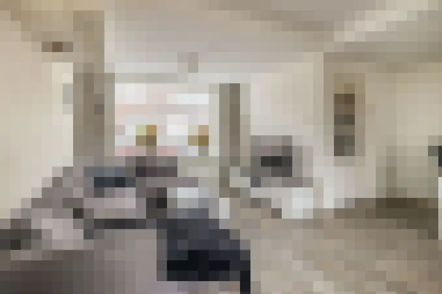 St. Crispijnstraat 33 Waalwijk thumbnail 5